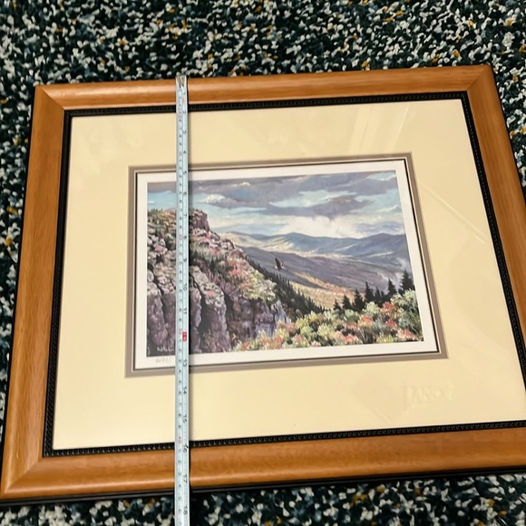 Lithograph signed by artist Don Balke 17.25 x 20” - Picture 6 of 8